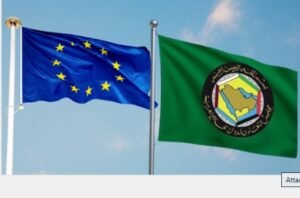 IMG_20260364_115732180