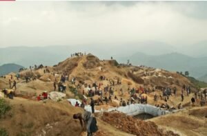 IMG_20260365_21244122