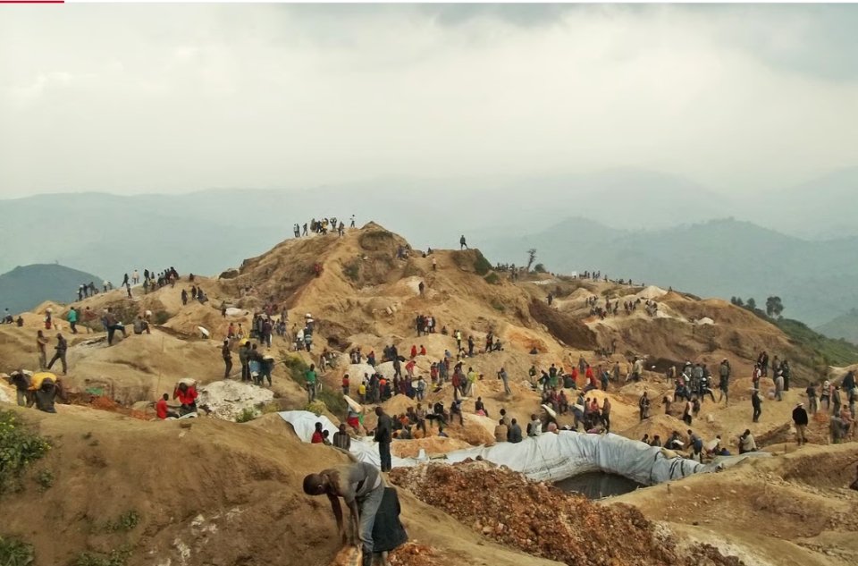 IMG_20260365_21244122