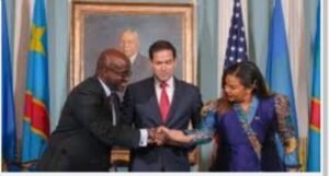 IMG_20260367_12537180