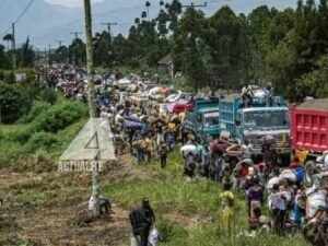 IMG_20260368_230316388