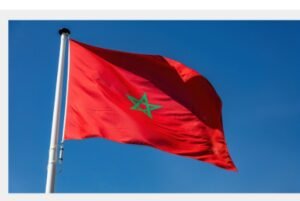 IMG_20260373_40358446