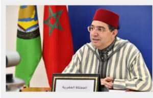 IMG_20260373_41413496