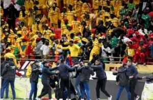 IMG_20260373_43150960