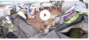 IMG_20260378_110658071