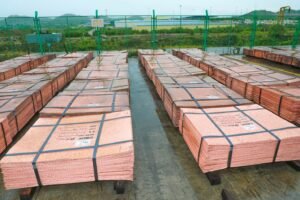 IMG_20260379_022945758