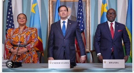 IMG_20260379_25703432