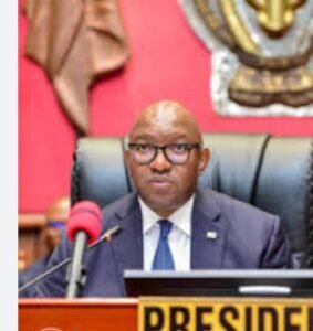 IMG_20260381_1520463