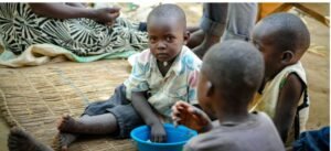 IMG_20260383_95837435