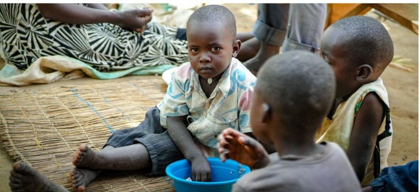 IMG_20260383_95837435