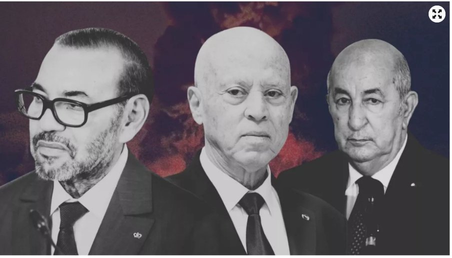 IMG_20260384_105058869