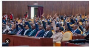 IMG_20260385_103702629