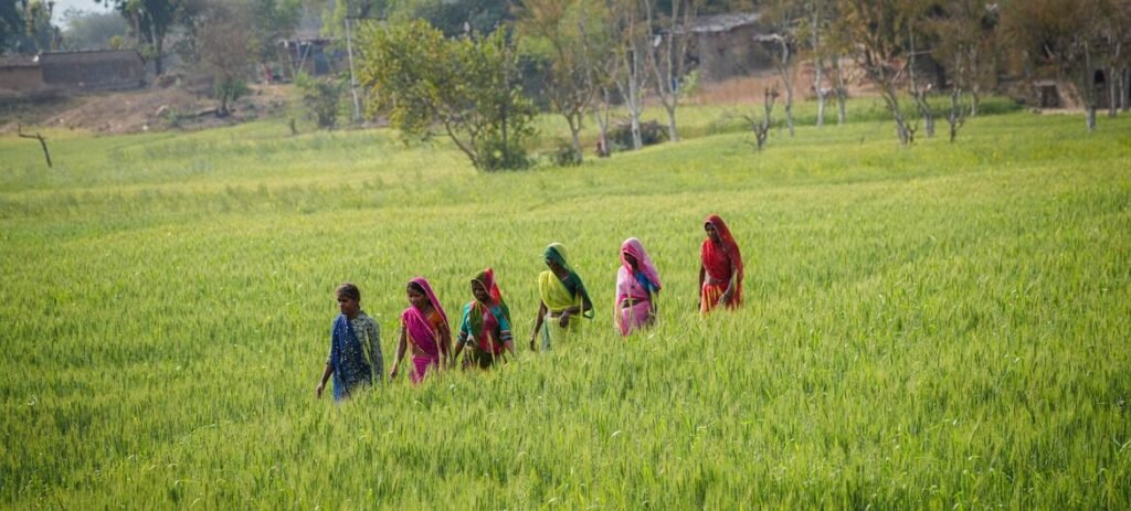 IMG_20260390_093607233