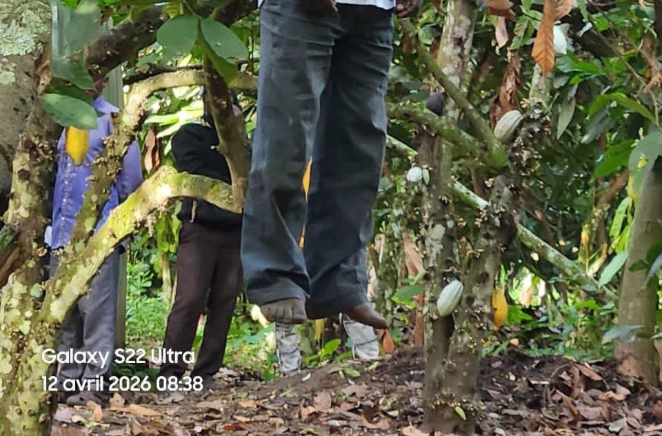 IMG_202604104_122956983