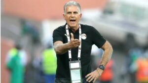 IMG_202604106_95435146