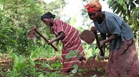 IMG_202604108_123821603