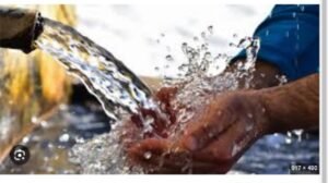 IMG_202604109_100216762