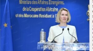 IMG_202604109_103041138