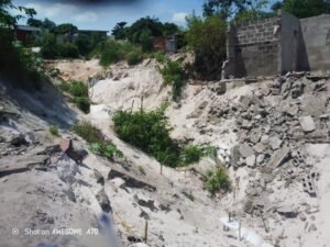 IMG_202604110_011020810