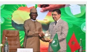 IMG_202604112_111009077