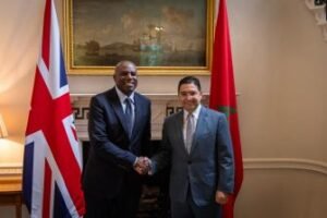 IMG_202604114_213416243