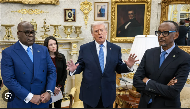 IMG_202604118_212041831