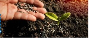 IMG_202604120_103435228