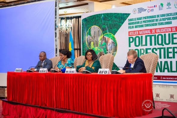 IMG_20260497_172753486