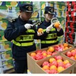 Entrée en vigueur du traitement tarifaire zéro pour 53 pays africains : Shanghai enregistre sa première cargaison sous le nouveau régime