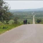 La plaine de la Ruzizi dans le viseur (John Ngombua)