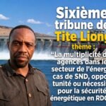 La multiplicité des agences dans le secteur de l&rsquo;énergie en RDC – Opportunité ou nécessité pour la sécurité énergétique? (Sixième tribune de Tite Liongi)