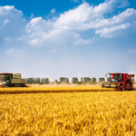 Plan quinquennal 2026-2030 pour l&rsquo;agriculture : la sécurité alimentaire, un acquis à consolider