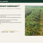 ANAPEX: la Task-force piment s&rsquo;enrichit de l&rsquo;adhésion de NORDENSOL Agro