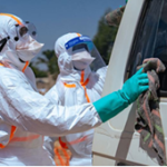 En RDC, l’épidémie d’Ebola sans précédent propulse la recherche de nouveaux traitements