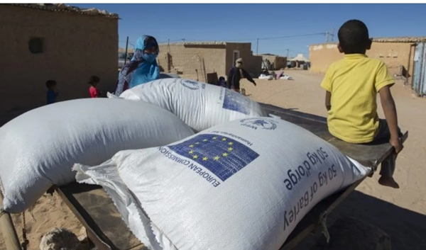Des personnes originaires des camps de Tindouf impliquées dans des soupçons de falsification de documents à Ibiza